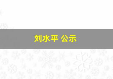 刘水平 公示